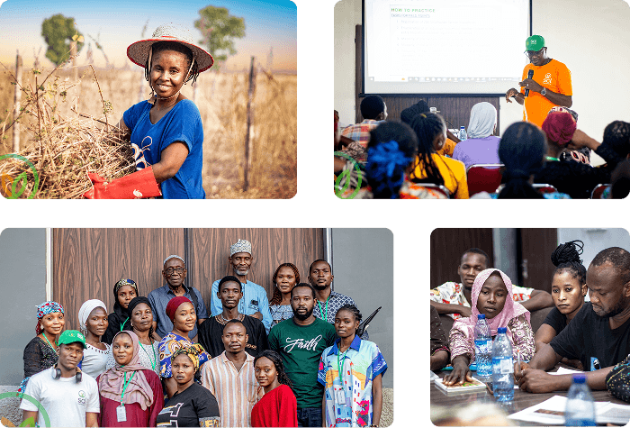 Field Immersion Collage