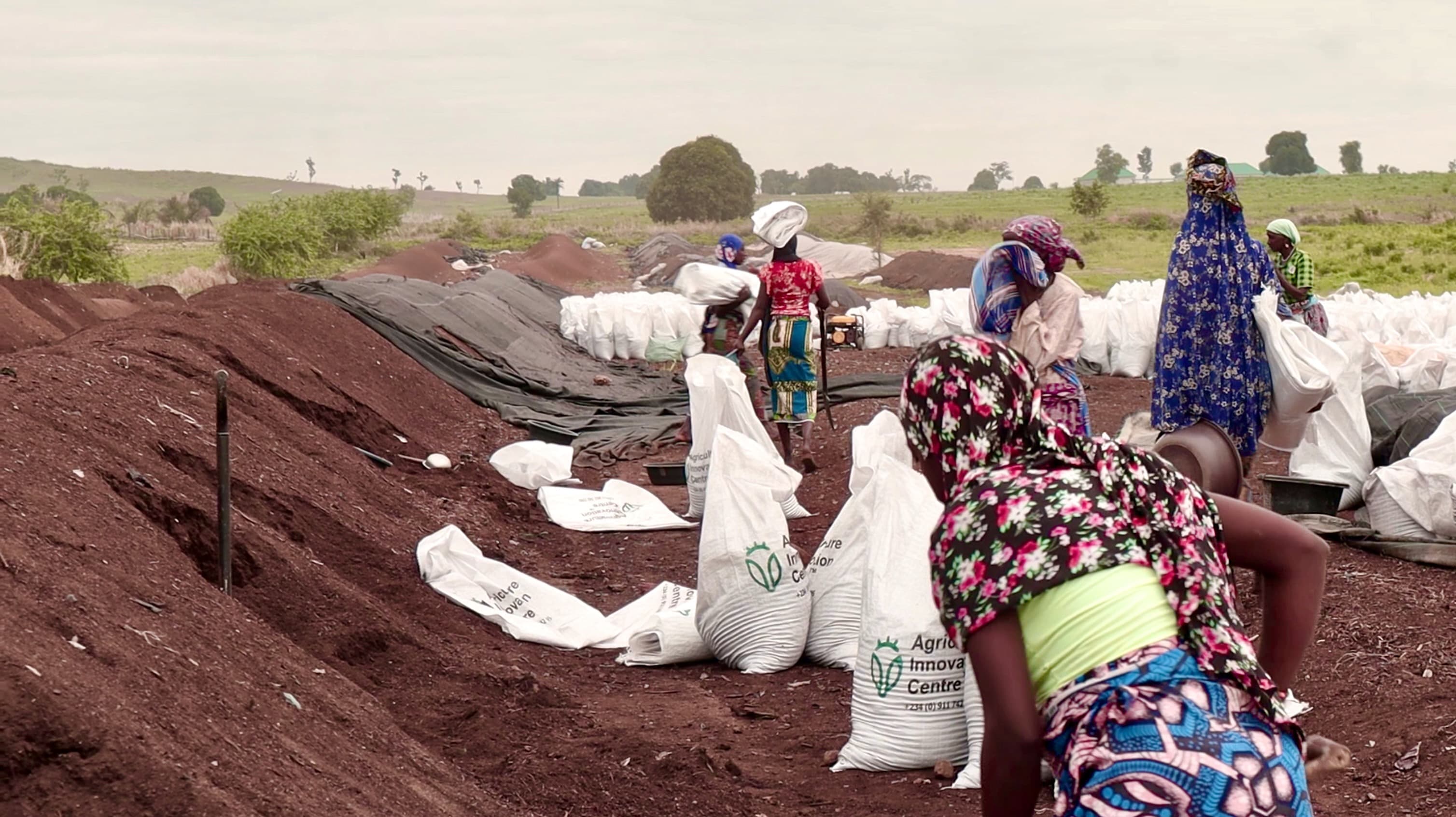 Contact Hero Background