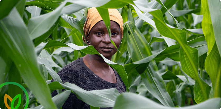 Partnerships for Sustainable Growth